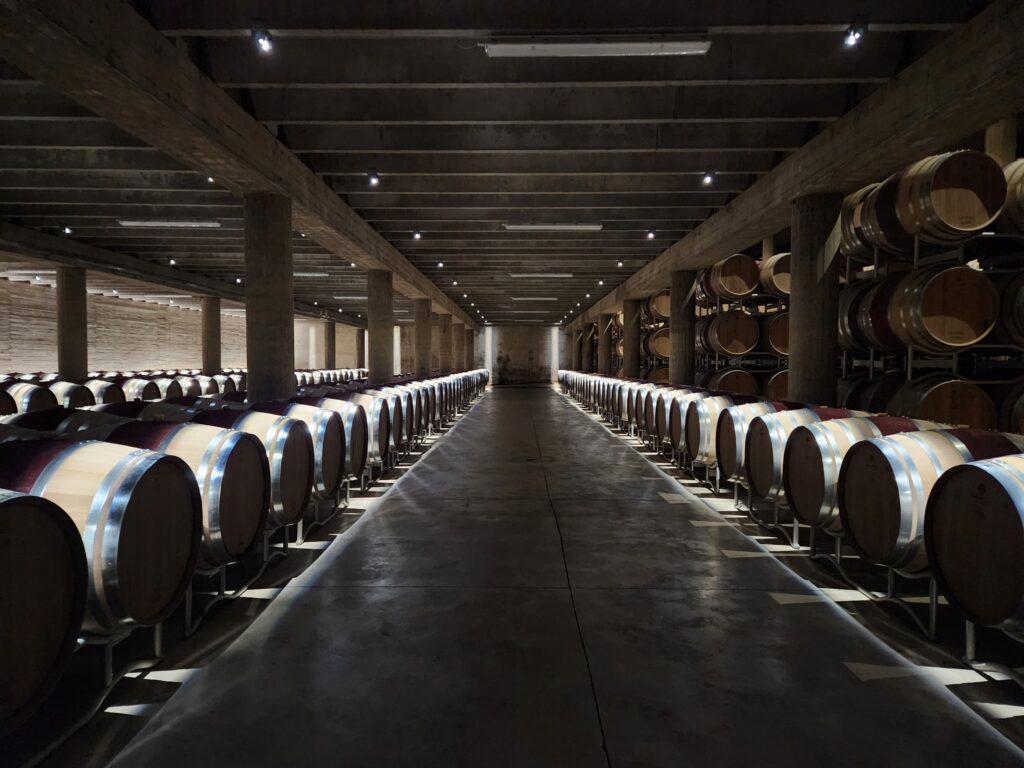 Ricasoli Castle Cellar