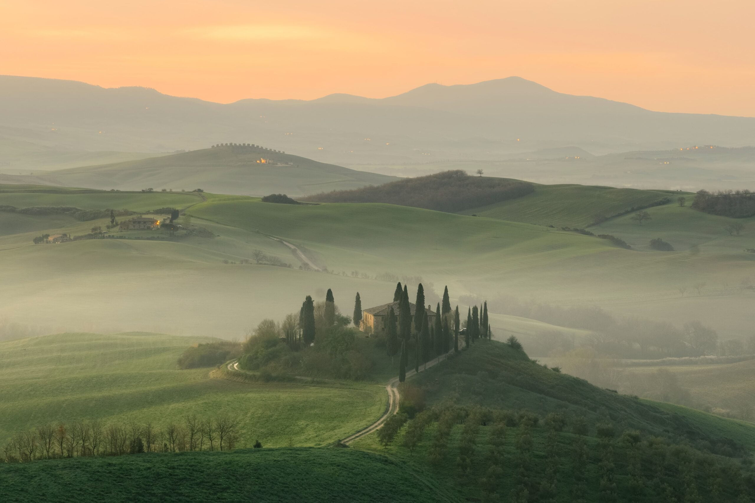 Wineries in Tuscany