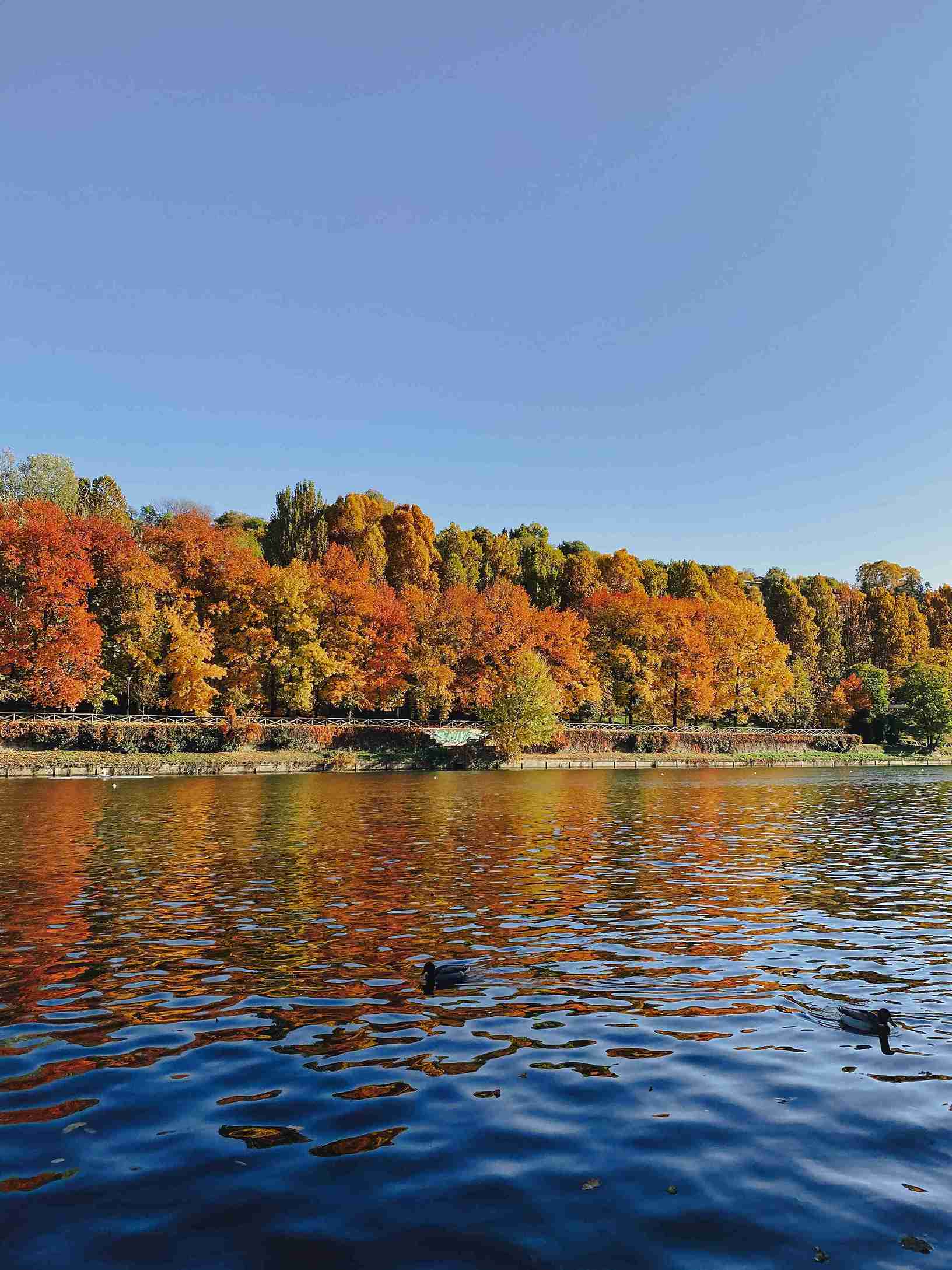 Torino parco del Valentino