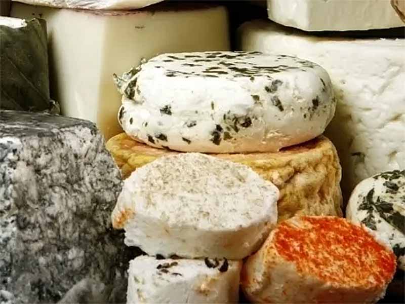 Tuscan Goat Cheese