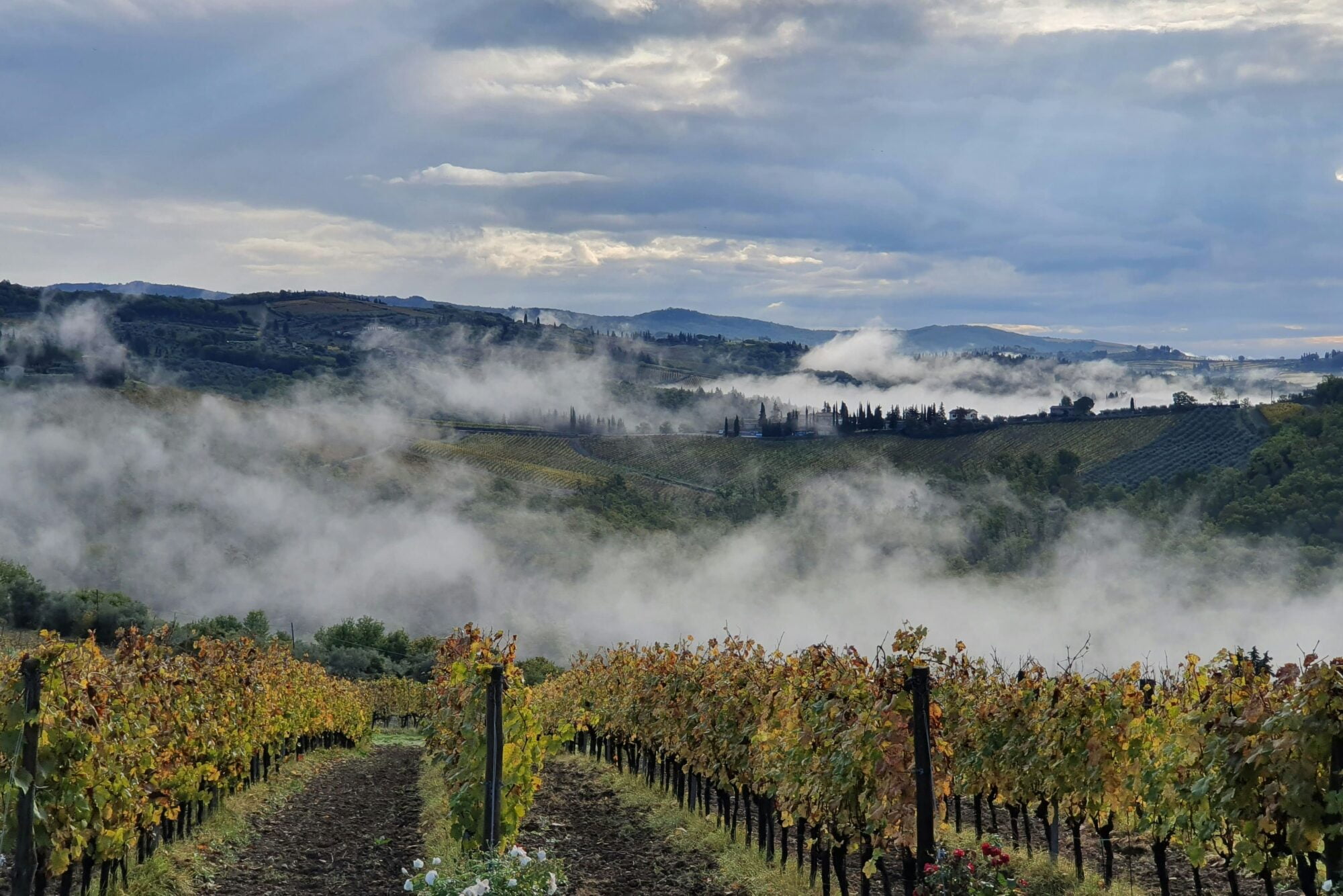 Chianti Region in Tuscany