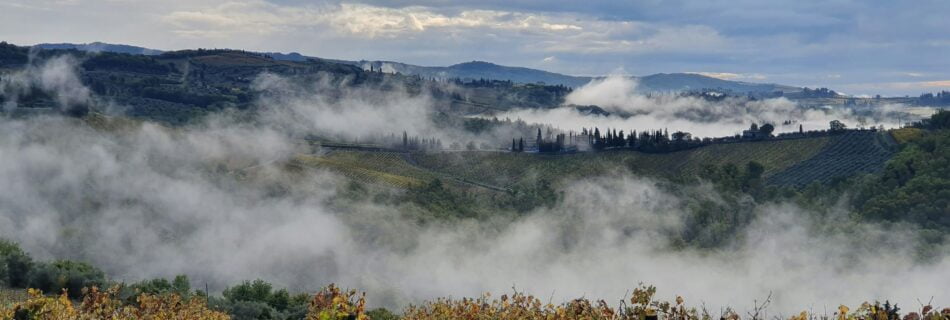 Chianti Region in Tuscany