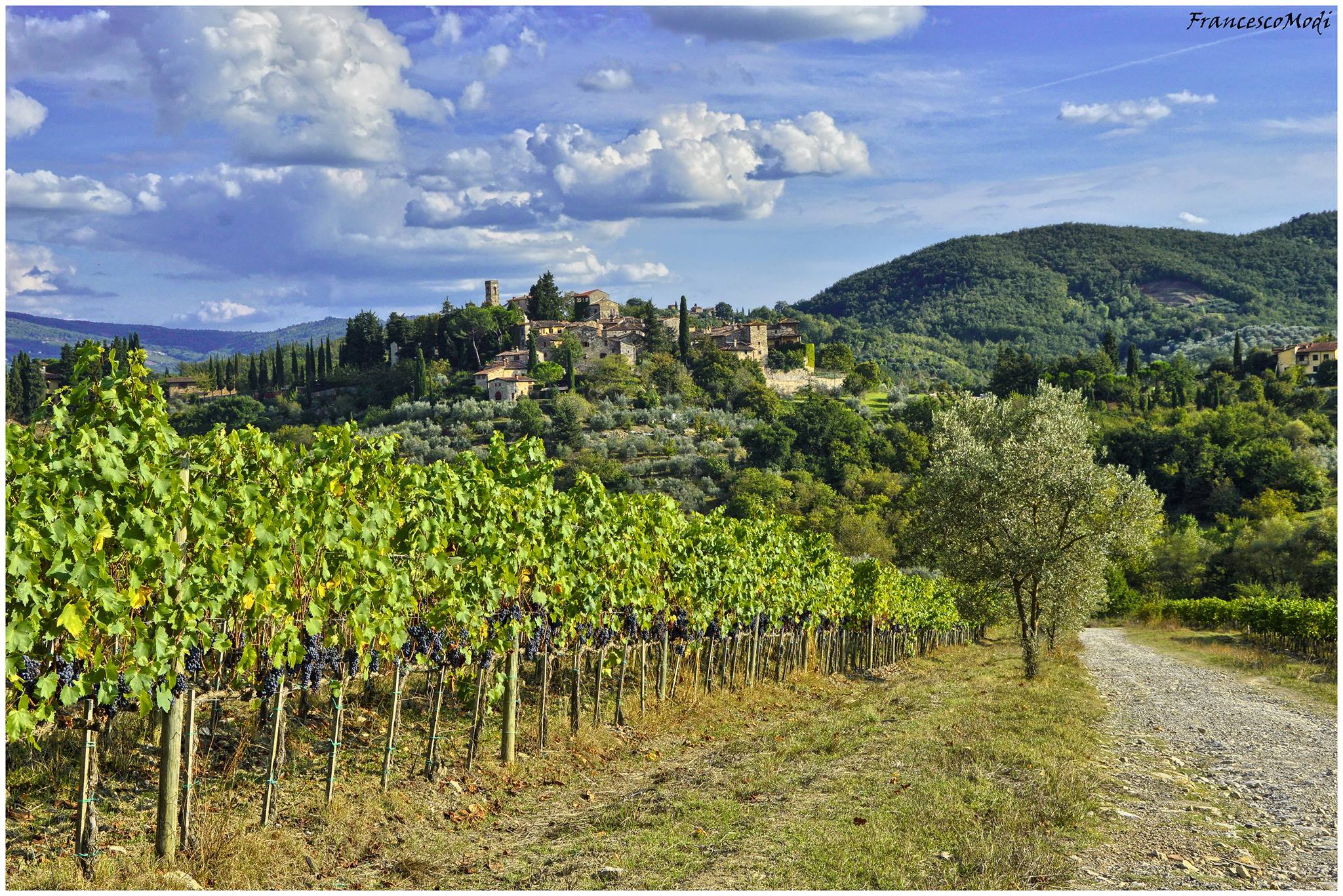 Montefioralle Winery