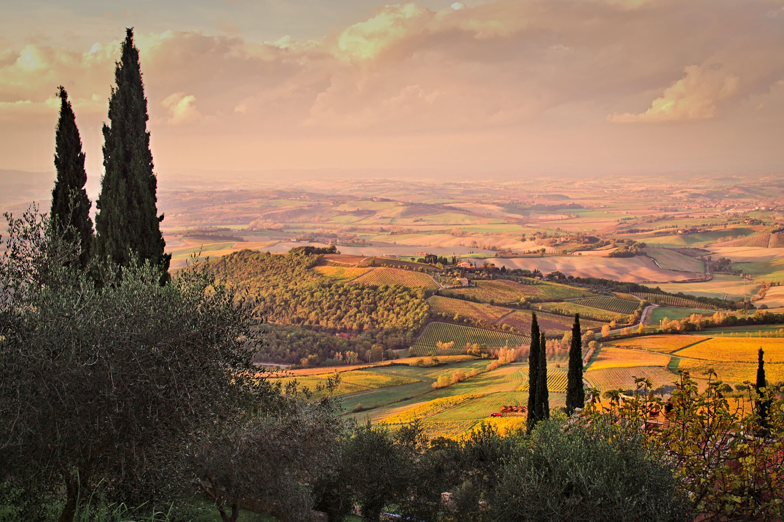 Montalcino